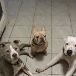 Meet your Posher, Adrian